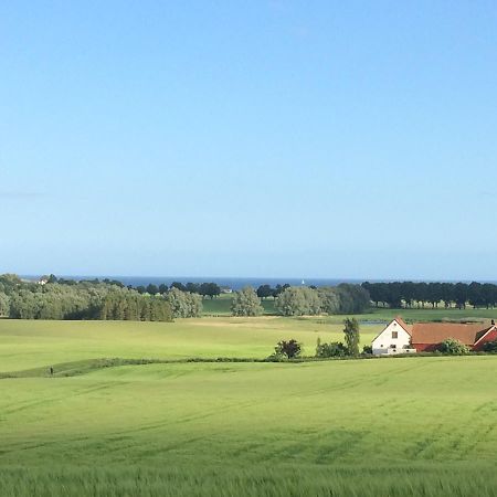 Garden Mellan Slotten Svarte Kültér fotó