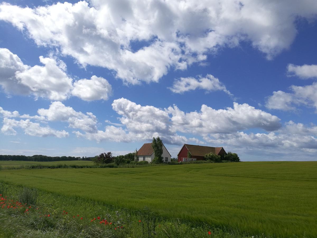 Garden Mellan Slotten Svarte Kültér fotó