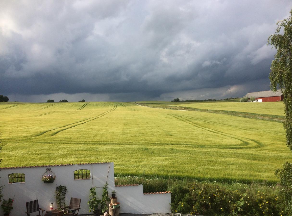 Garden Mellan Slotten Svarte Kültér fotó