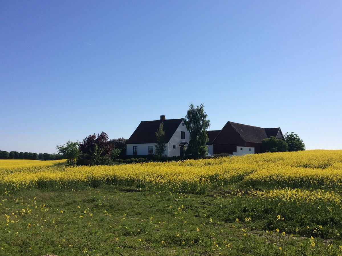 Garden Mellan Slotten Svarte Kültér fotó