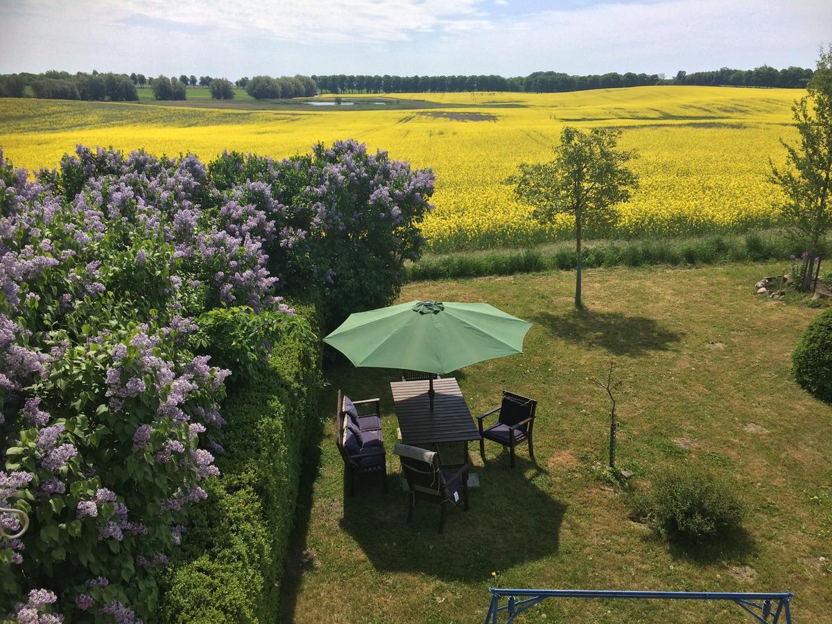 Garden Mellan Slotten Svarte Kültér fotó