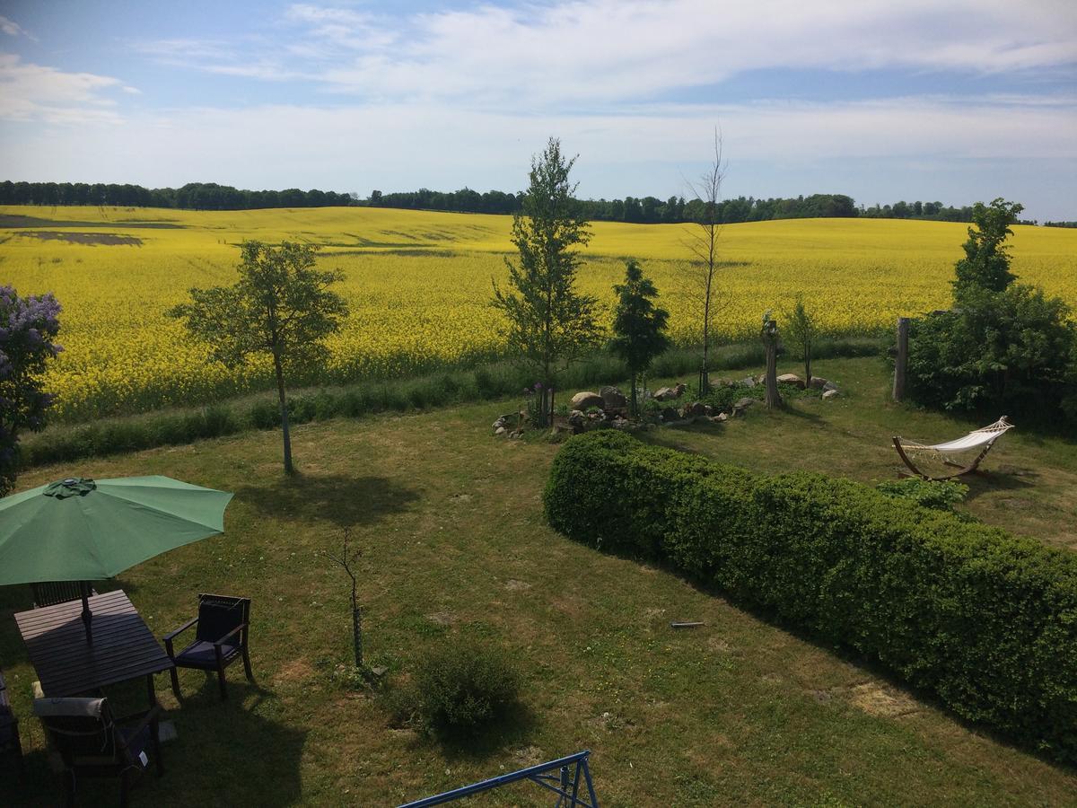 Garden Mellan Slotten Svarte Kültér fotó