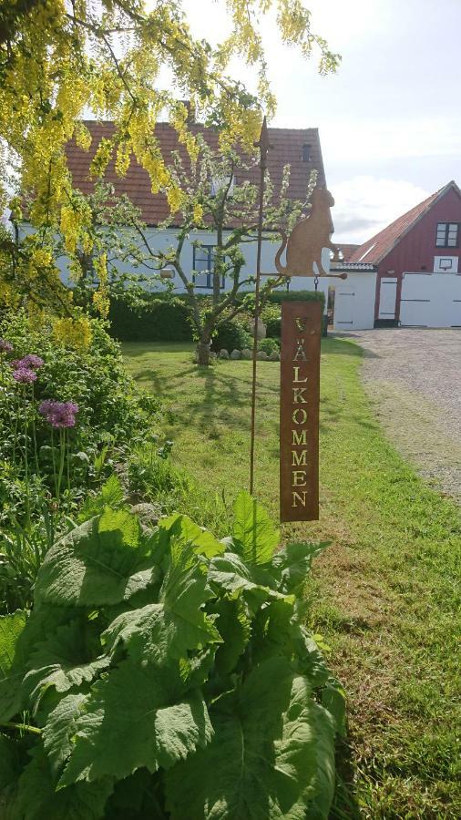 Garden Mellan Slotten Svarte Kültér fotó